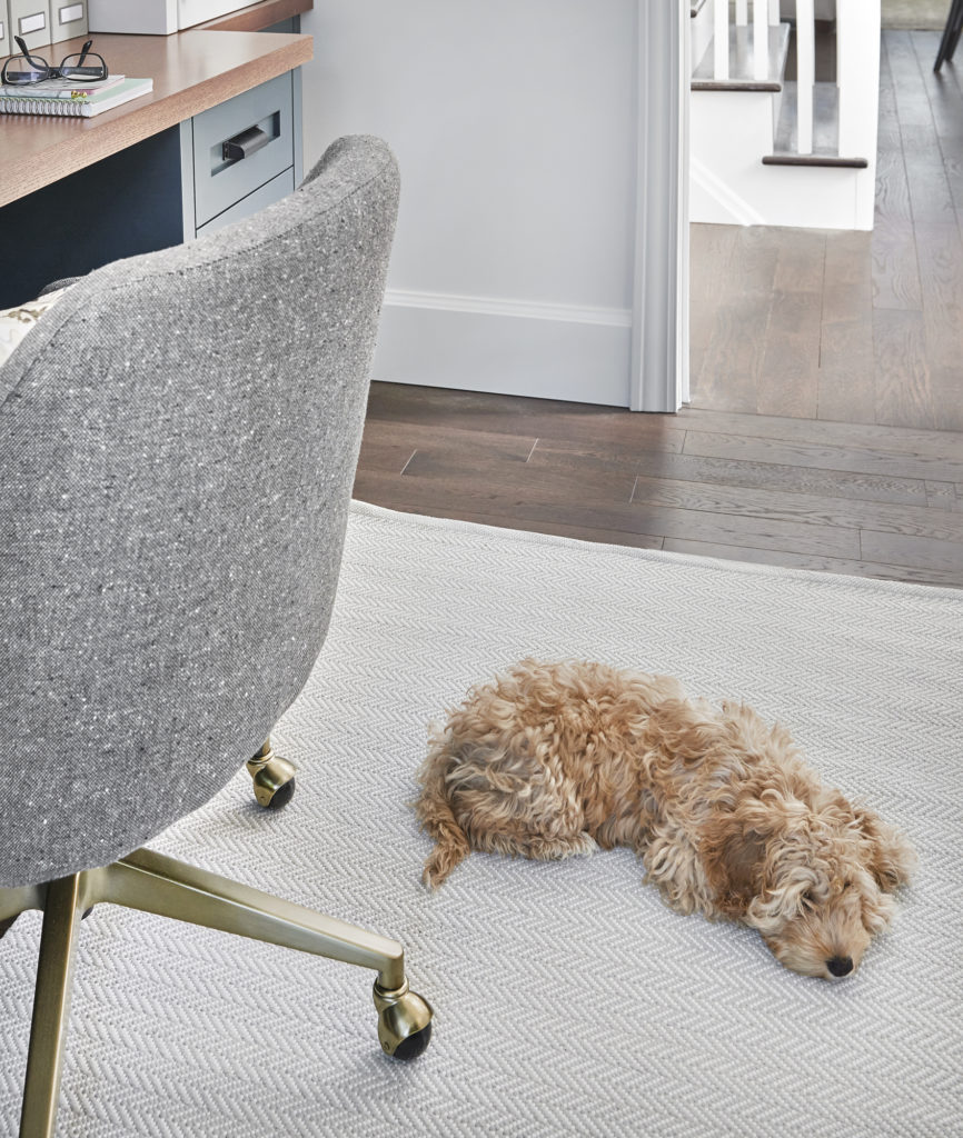 Vanessa Francis Design