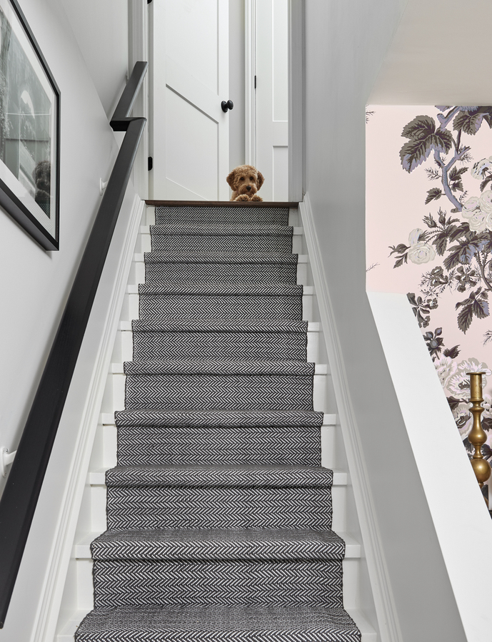 Vanessa Francis Design