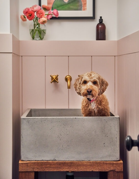 The Laundry Room - Vanessa Francis Interior Design